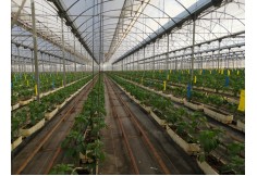 ISAM, International School of Agri Management